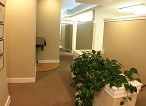 Norwood Dental Care Hallway