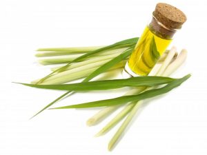 Lemongrass oil