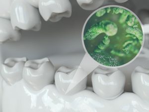 model of a mouth with hidden bacteria in it